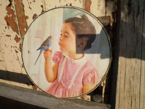 Beautiful Vintage Pyotts Biscuit Tin Girl With Blue Bird