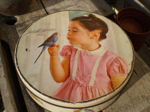 Beautiful Vintage Pyotts Biscuit Tin Girl With Blue Bird