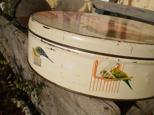 Beautiful Vintage Pyotts Biscuit Tin Girl With Blue Bird