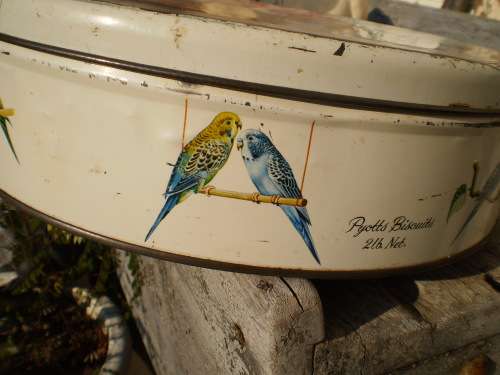Beautiful Vintage Pyotts Biscuit Tin Girl With Blue Bird