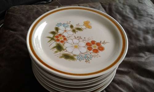 10 Vintage Highland Florals Collection Japanese Stoneware Dinner Plates Highland Blue