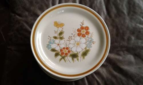 10 Vintage Highland Florals Collection Japanese Stoneware Dinner Plates Highland Blue