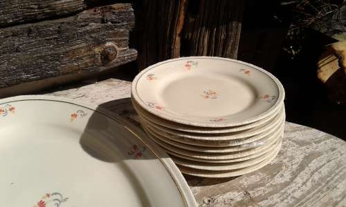 Rare Antique German Bavaria 27 Eamag ALT SCHOENWALD OLD SCHOENWALD Porcelain 46 Pieces Dinner Set