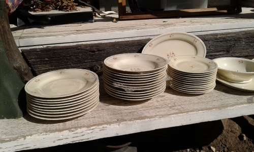Rare Antique German Bavaria 27 Eamag ALT SCHOENWALD OLD SCHOENWALD Porcelain 46 Pieces Dinner Set