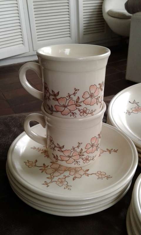 Vintage Biltons Ironstone Staffordshire Dinner Coffee Set Made In England 25 Pieces