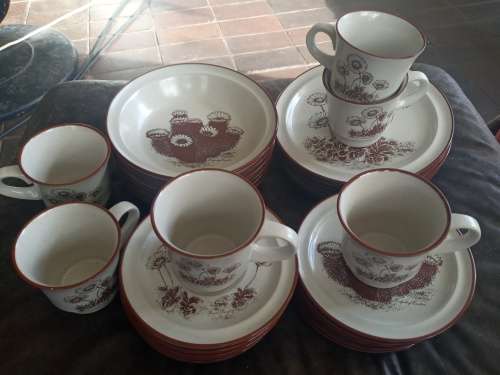 Rare Vintage NORITAKE `Desert Flowers` Stoneware Dinner Set Mid Century Modern Complete no 8341