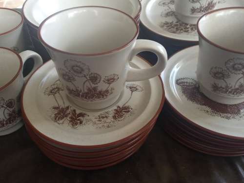 Rare Vintage NORITAKE `Desert Flowers` Stoneware Dinner Set Mid Century Modern Complete no 8341