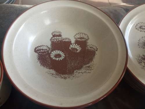 Rare Vintage NORITAKE `Desert Flowers` Stoneware Dinner Set Mid Century Modern Complete no 8341