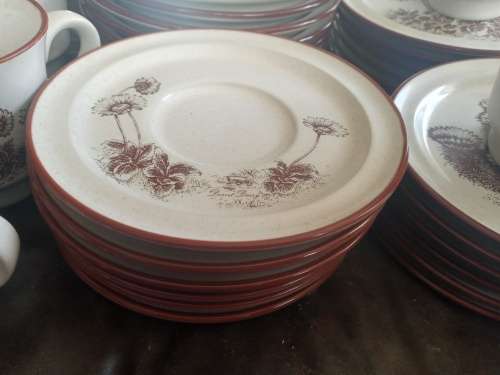 Rare Vintage NORITAKE `Desert Flowers` Stoneware Dinner Set Mid Century Modern Complete no 8341