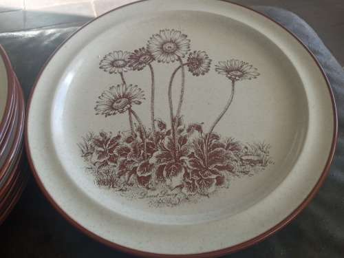 Rare Vintage NORITAKE `Desert Flowers` Stoneware Dinner Set Mid Century Modern Complete no 8341