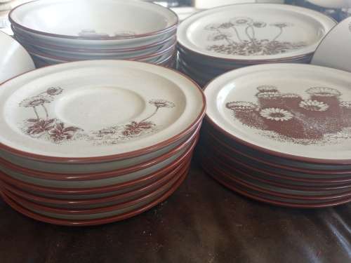 Rare Vintage NORITAKE `Desert Flowers` Stoneware Dinner Set Mid Century Modern Complete no 8341