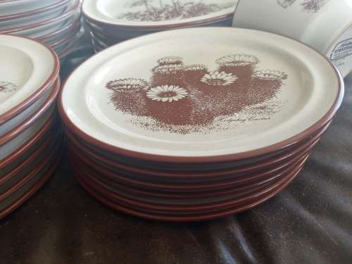 Rare Vintage NORITAKE `Desert Flowers` Stoneware Dinner Set Mid Century Modern Complete no 8341