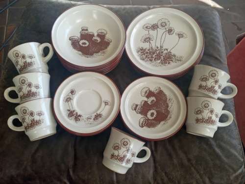 Rare Vintage NORITAKE `Desert Flowers` Stoneware Dinner Set Mid Century Modern Complete no 8341