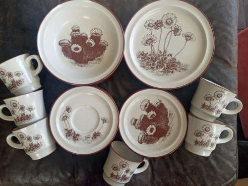 Rare Vintage NORITAKE `Desert Flowers` Stoneware Dinner Set Mid Century Modern Complete no 8341
