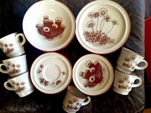 Rare Vintage NORITAKE `Desert Flowers` Stoneware Dinner Set Mid Century Modern Complete no 8341