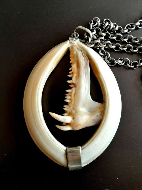 Large Handcrafted Warthog Bone Tusks And Fish Teeth Jaw Bone Pendant Sterling Silver