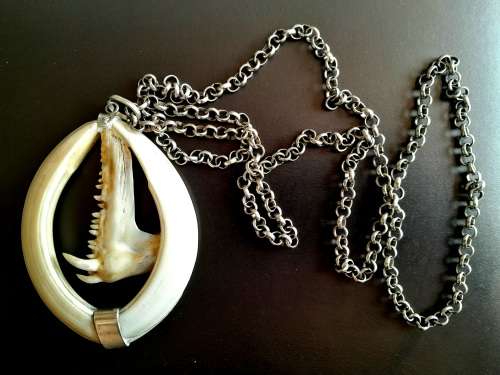 Large Handcrafted Warthog Bone Tusks And Fish Teeth Jaw Bone Pendant Sterling Silver