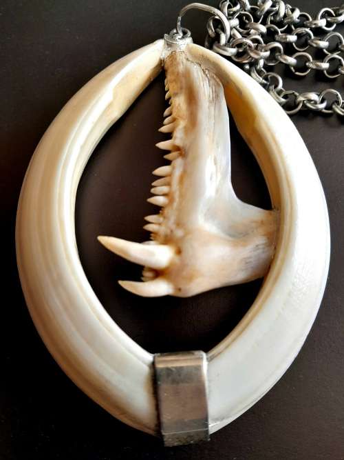 Large Handcrafted Warthog Bone Tusks And Fish Teeth Jaw Bone Pendant Sterling Silver