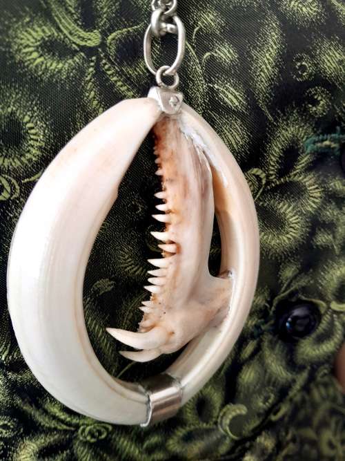 Large Handcrafted Warthog Bone Tusks And Fish Teeth Jaw Bone Pendant Sterling Silver
