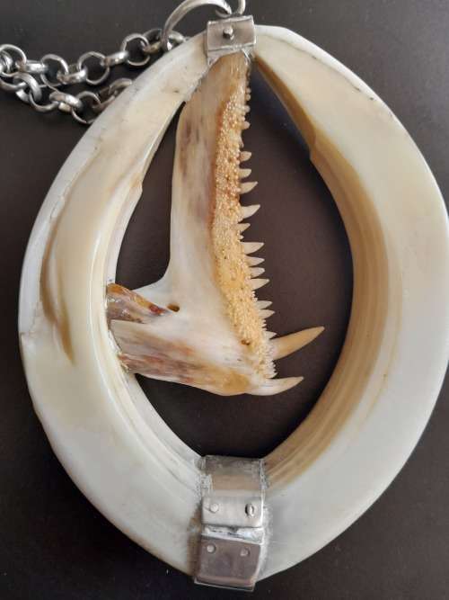 Large Handcrafted Warthog Bone Tusks And Fish Teeth Jaw Bone Pendant Sterling Silver