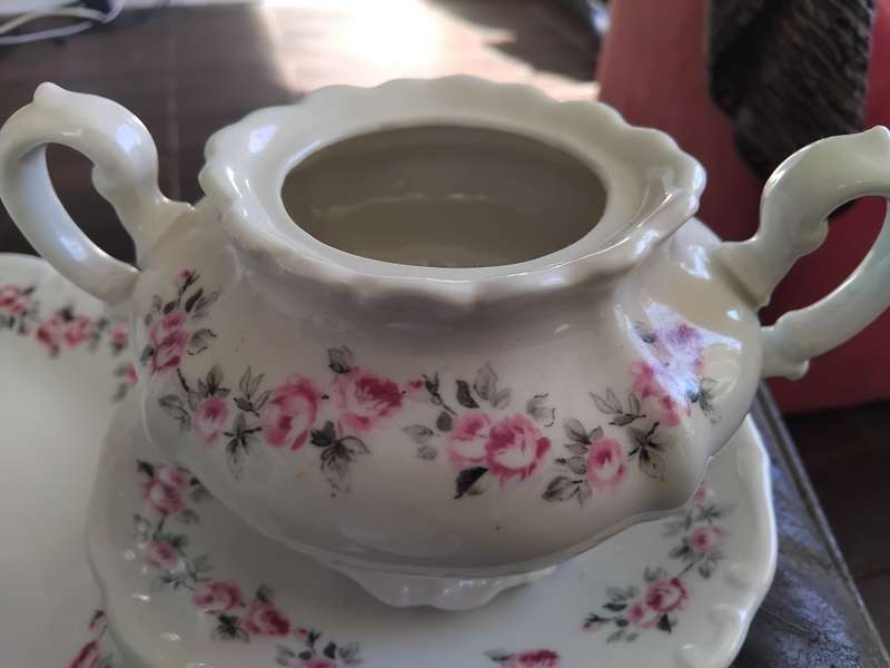 Beautiful Huguenot Constantia Coffee Tea Set Pink Rose Pattern 22 Pieces