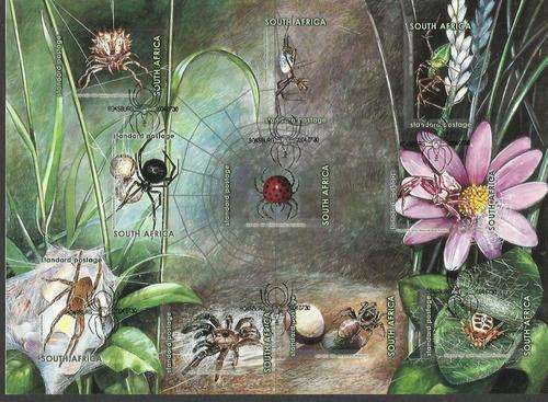 Rsa Sacc 1624-1633 Spiders of South Africa