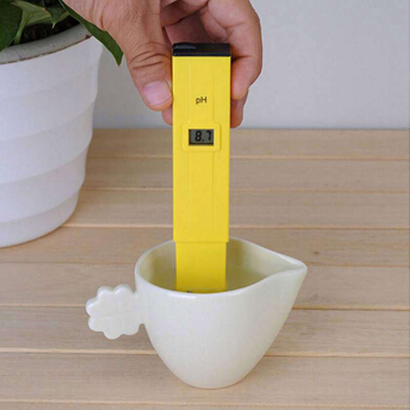 Digital PH Tester