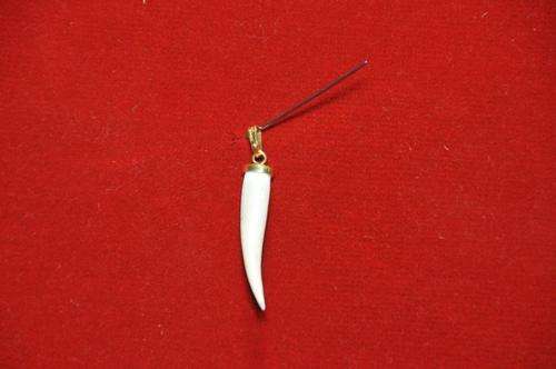 AWESOME, REAL TIGER 9 CT GOLD MOUNTED TOOTH PENDENT