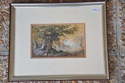 British xix c watercolor of forrest scene,very-very detailed-amazing hand!!!!!