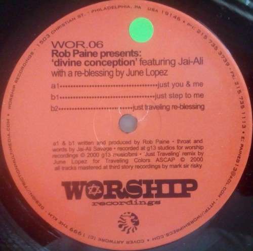ROB PAINE - DIVINE CONCEPTION - 12" VINYL