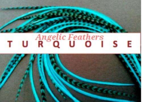 FEATHER HAIR EXTENSIONS - TURQUOISE
