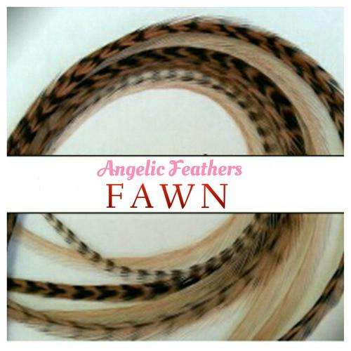 FEATHER HAIR EXTENSIONS - FAWN