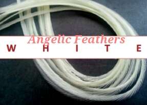 5 X FEATHER HAIR EXTENSIONS - WHITE