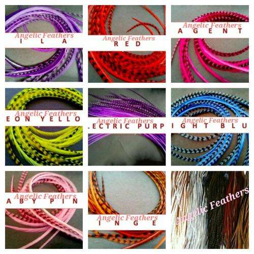 Feather Hair Extensions