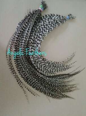 black & white natural feather hair extensions