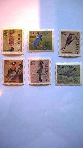 Bird set