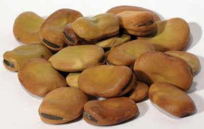 Mojo Wish Beans