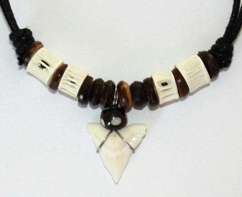 Shark Tooth Necklace