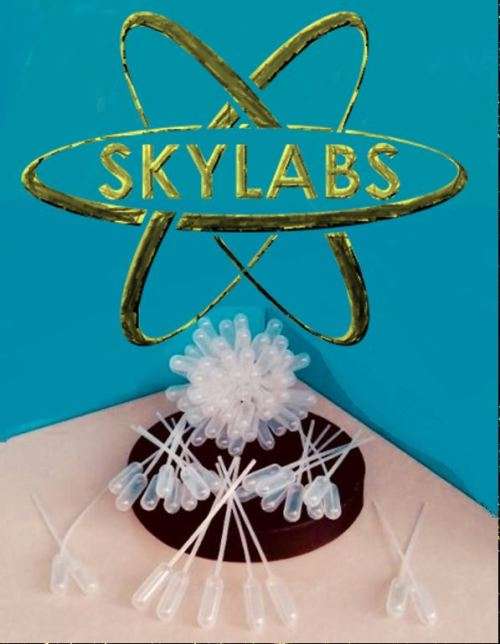 PASTEUR PIPETTE 3ML 500's Capillary tip SKYLABS