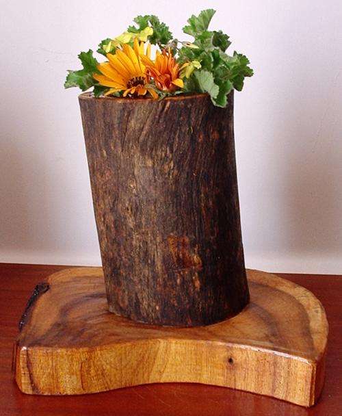 Pot Plant Holder - Gumtree and Rubber Tree Wood - very unusual