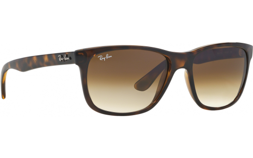 RAYBAN RB4181 TORTOISE MATTE POLARIZED (UNISEX)