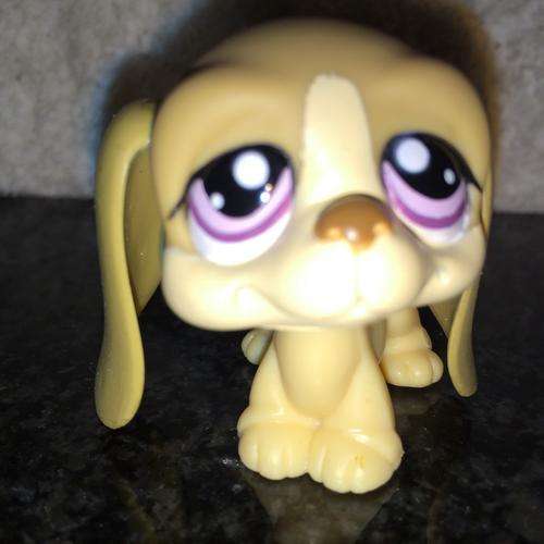 Littlest Pet Shop Figure