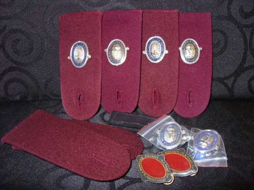 SA Nursing Council badges & epaulettes lot