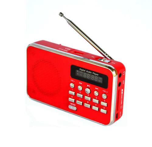 Mini Digital FM Radio with USB Port SD/Micro SD Card Slots for MP3 WMA