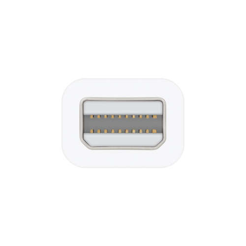 Apple Thunderbolt to FireWire Adapter