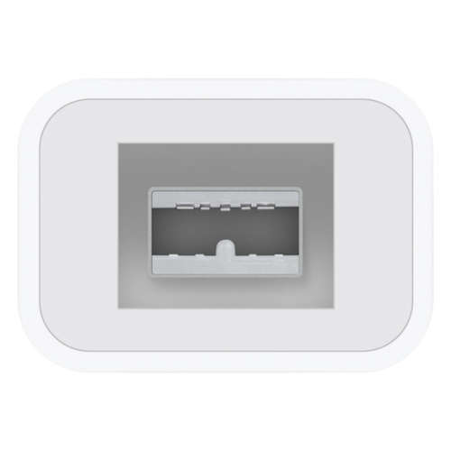 Apple Thunderbolt to FireWire Adapter