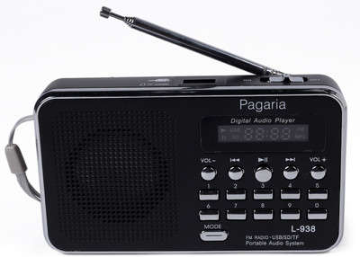 Mini Digital FM Radio with USB Port SD/Micro SD Card Slots for MP3 WMA
