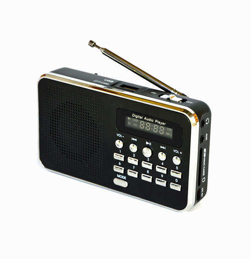 Mini Digital FM Radio with USB Port SD/Micro SD Card Slots for MP3 WMA