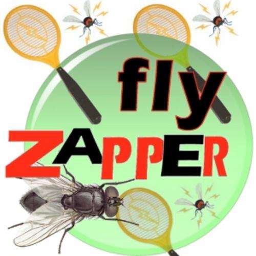 Electronic Fly Swatter > Insect Bug Zapper -  Super Fun for Everyone