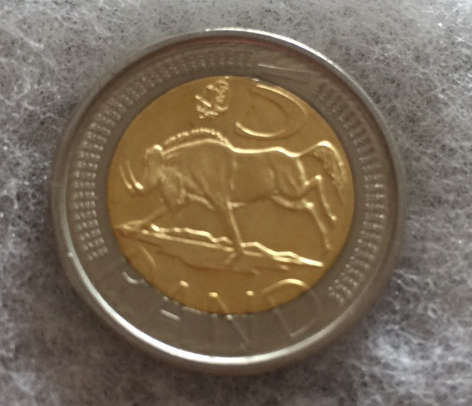 2005 R5 Coin World Mint Mark (Oom Paul)